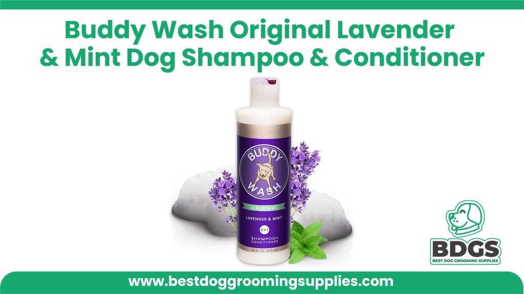 Best Scented Shampoo - Buddy Wash Original Lavender & Mint Dog Shampoo & Conditioner