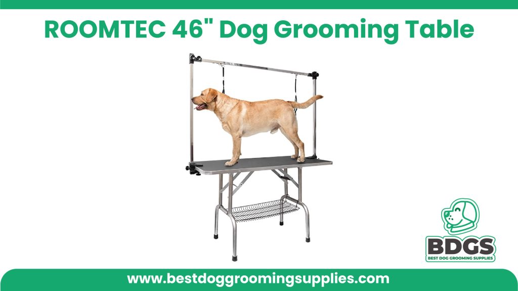 Best for Spacious and Sturdy - ROOMTEC 46" Dog Grooming Table