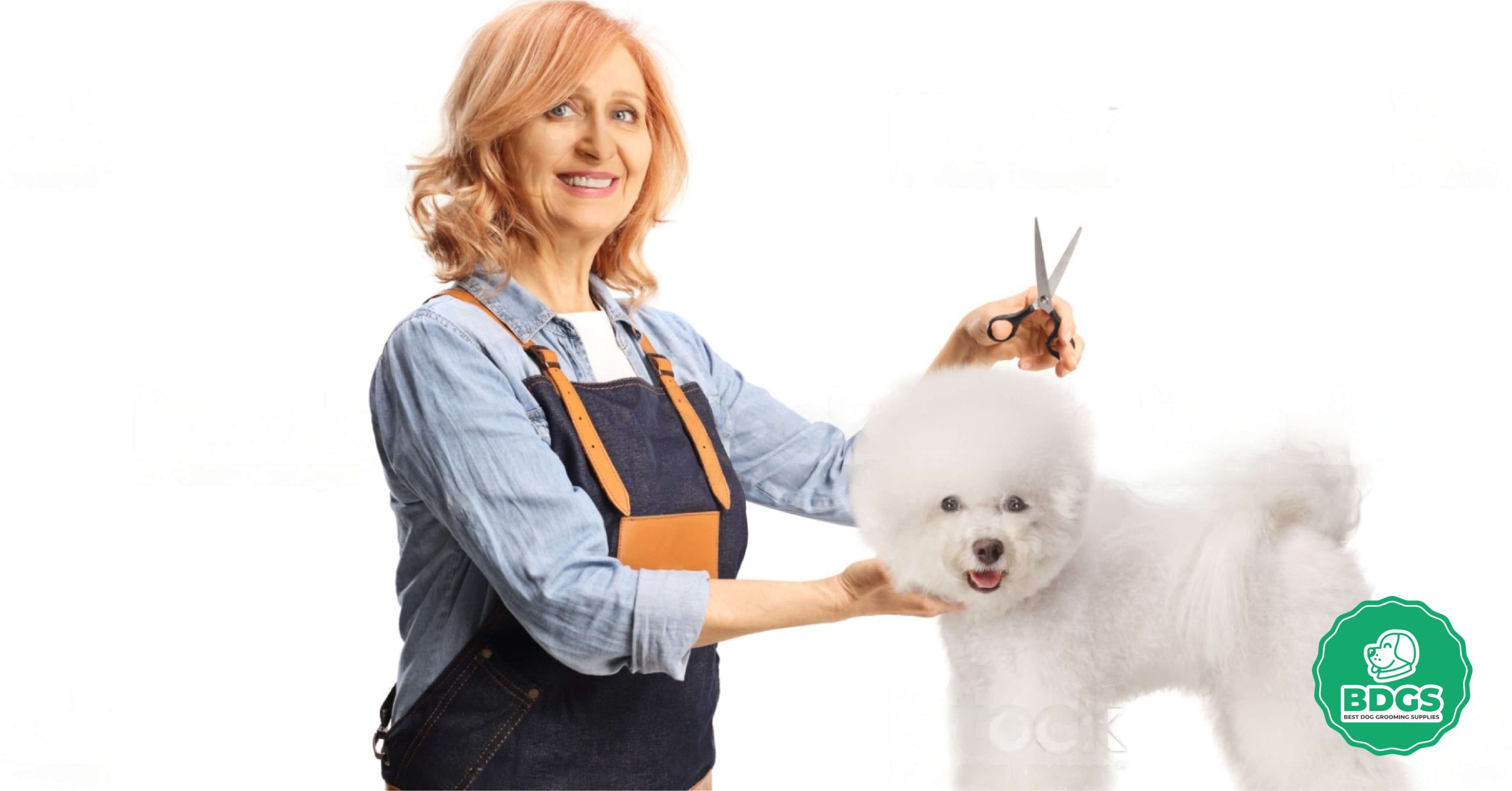 You are currently viewing A Comprehensive Beginner’s Guide to Choosing the Best Dog Grooming Apron