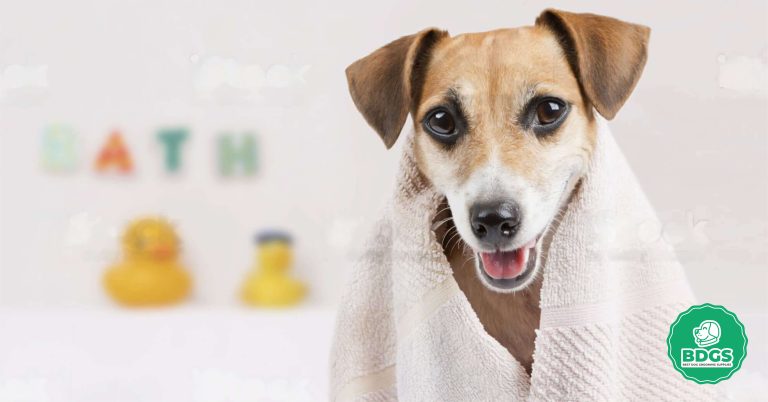 Dog Grooming Wipes Pet Cleaning Solutions for Beginners