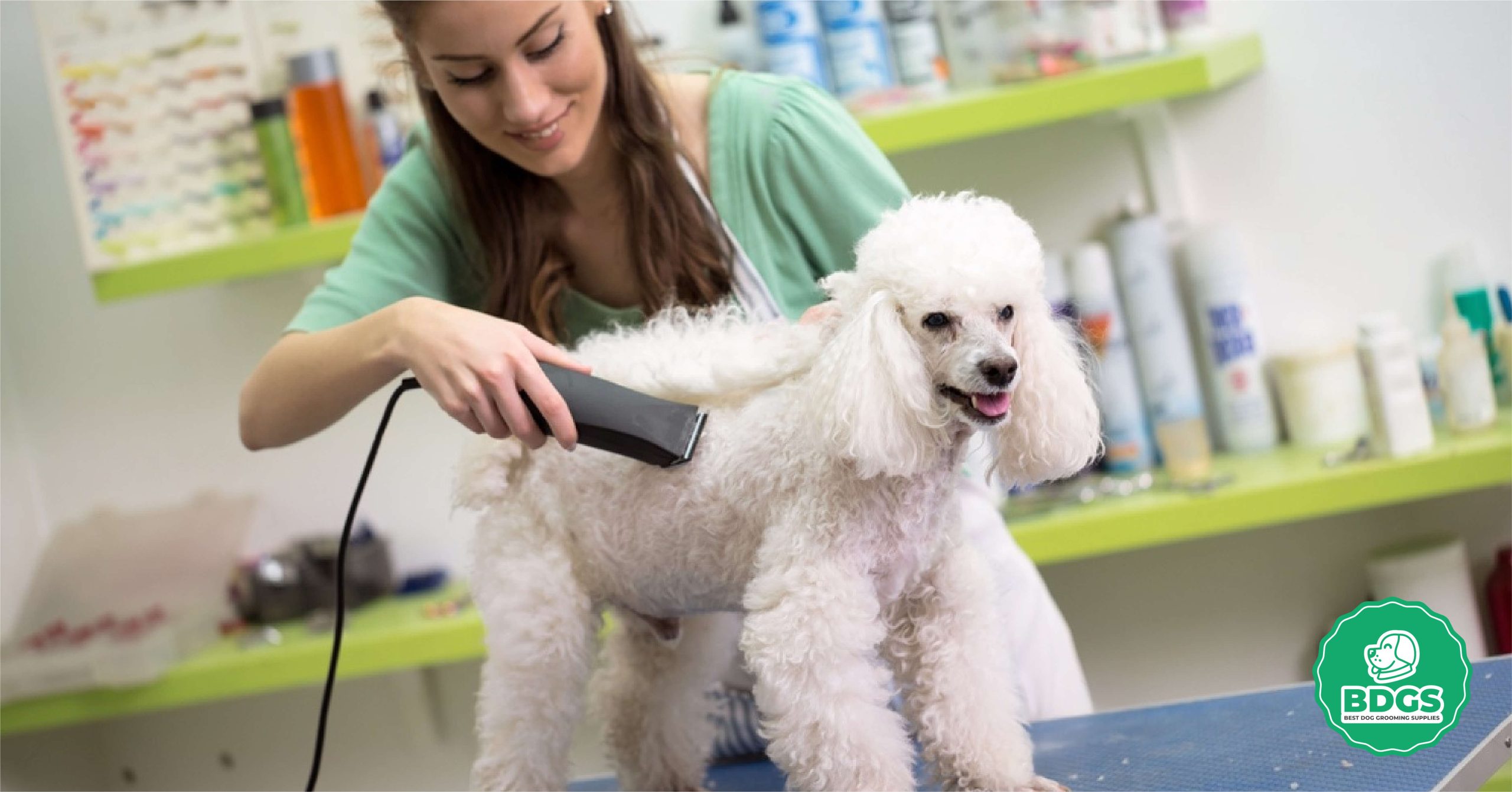 You are currently viewing Mastering Dog Grooming Blades: A Comprehensive Beginner’s Guide