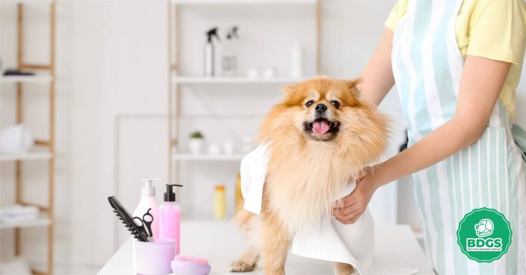 Step-by-Step Guide Using Wipes for Dog Cleaning