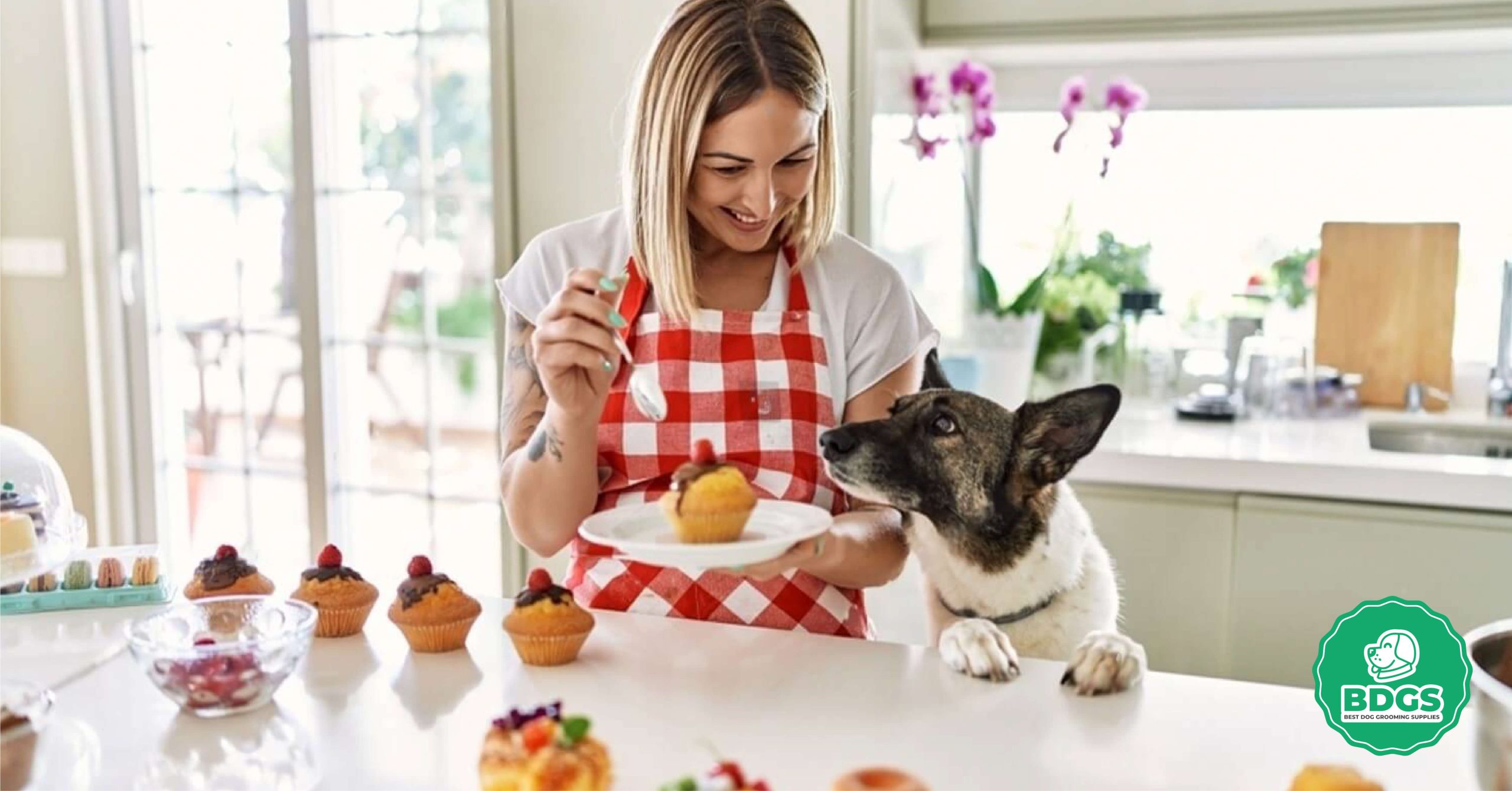 You are currently viewing How to use an Apron: Maintenance and Cleaning Tips – Beginner’s Guide