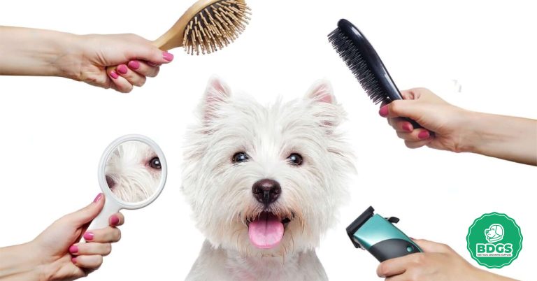 Dog Grooming Training How to Handle Dog Grooming With Ease