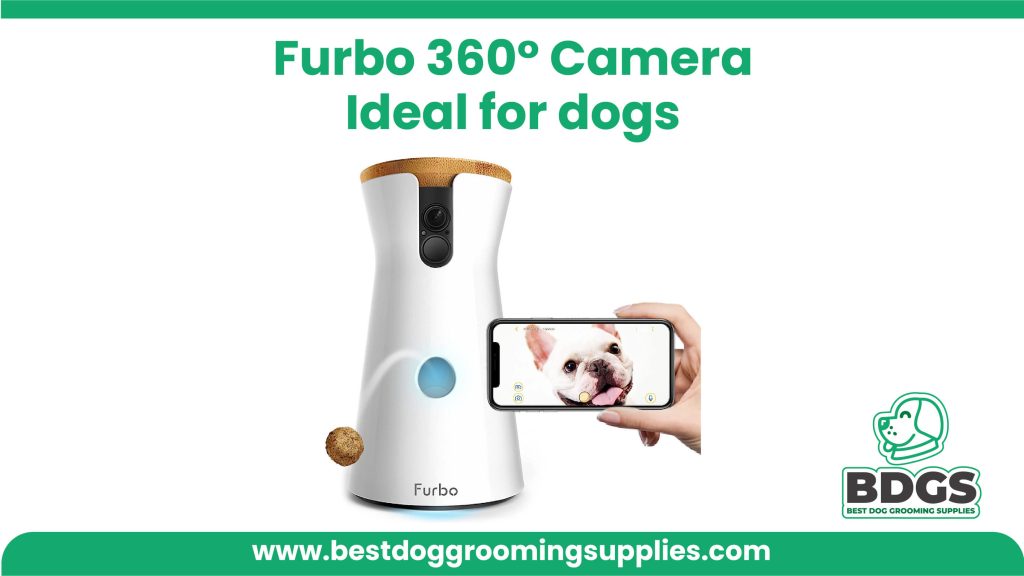 Ideal for dogs: Elevate Your Dog's Experience with the Furbo 360° Dog Camera