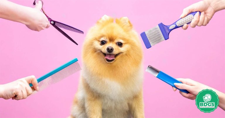 How to Choose Dog Grooming Tools A Comprehensive Guide
