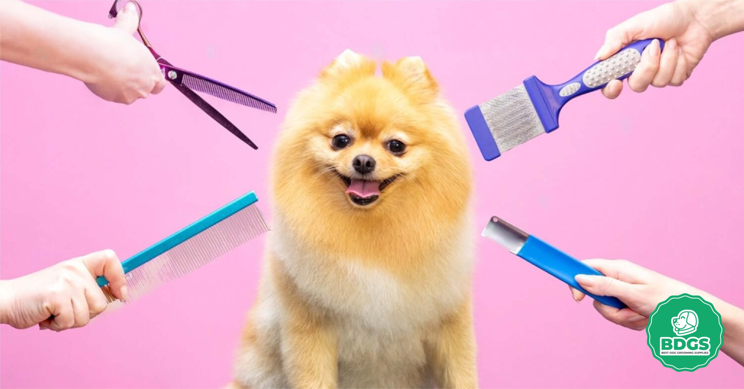 You are currently viewing How to Groom Your Dog at Home: A Step-by-Step Guide to Keeping Your Canine Clean and Healthy