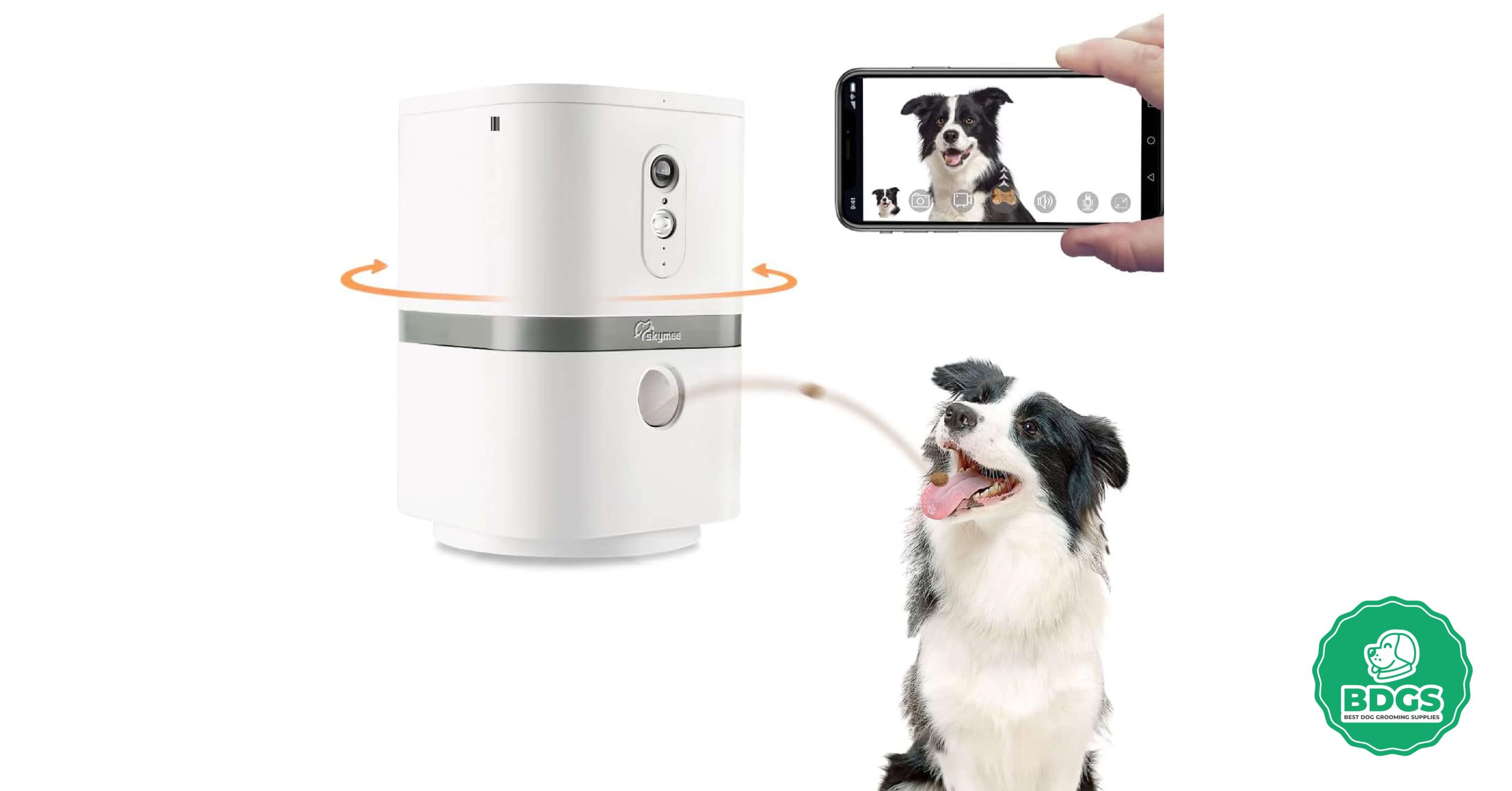 Read more about the article Light Bulb Camera for Dogs: A New Way to Keep Your Furry Friend Safe