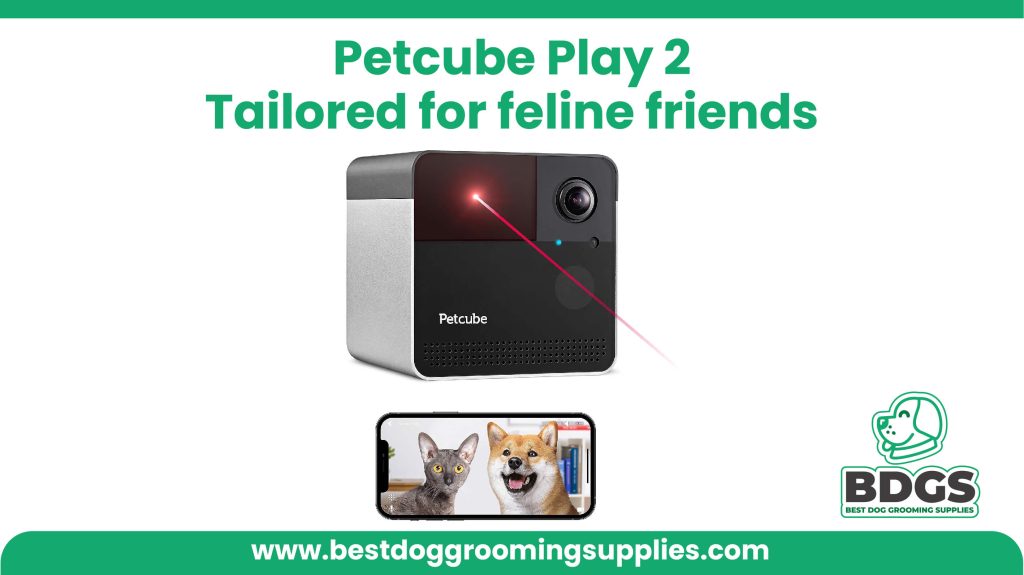 Tailored for feline friends: Provide Purrfect Cat Care with the Petcube Play 2 Light Bulb Camera