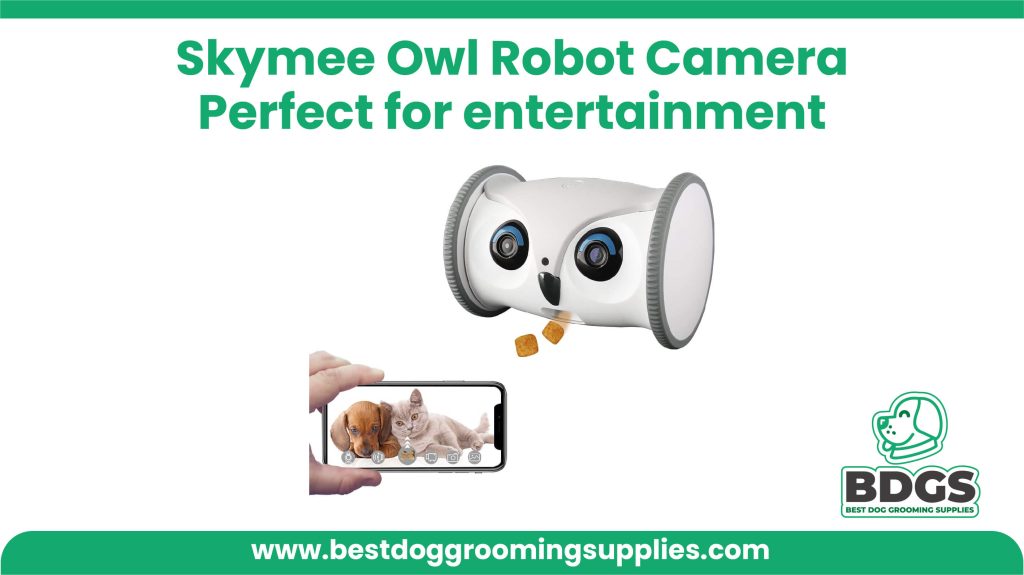 Perfect for entertainment: Experience Playful Adventures with the Skymee Owl Robot