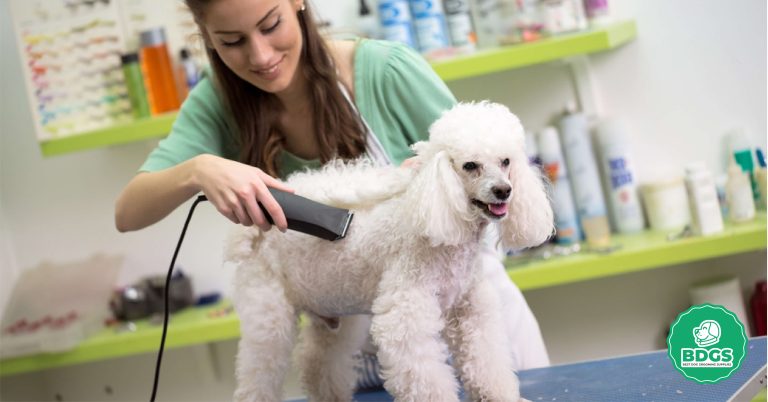 The 5 Best Dog Grooming Blades for Perfect Coats