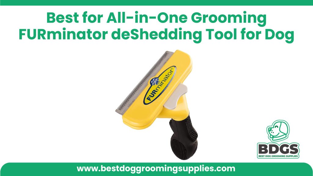 Best for All-in-One Grooming: FURminator deShedding Tool for Dog