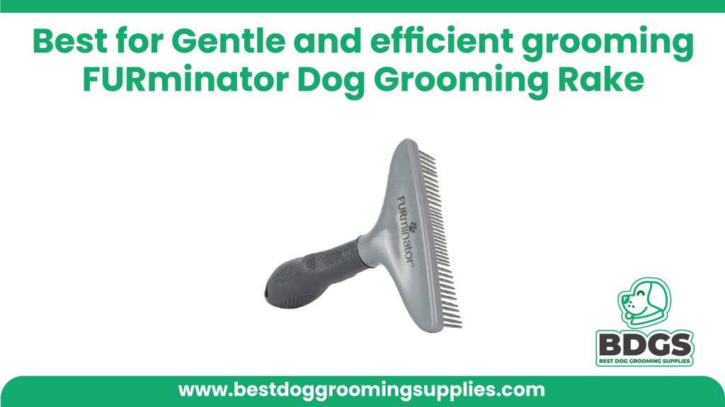 Best for Gentle and efficient grooming: FURminator Dog Grooming Rake