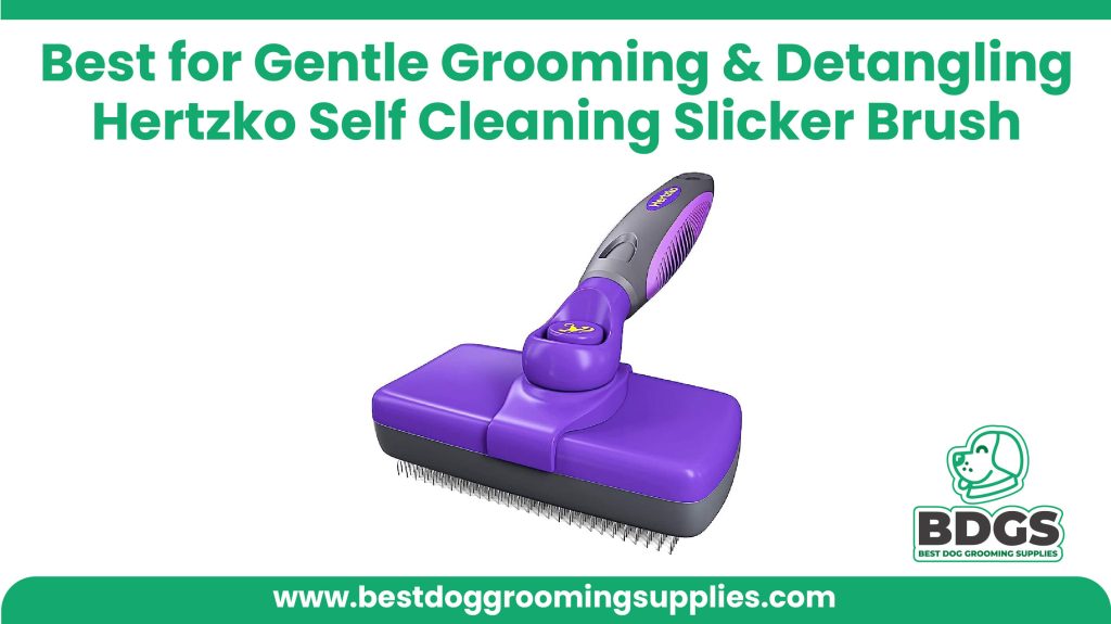 Best for Gentle grooming and detangling: Hertzko Self Cleaning Slicker Brush