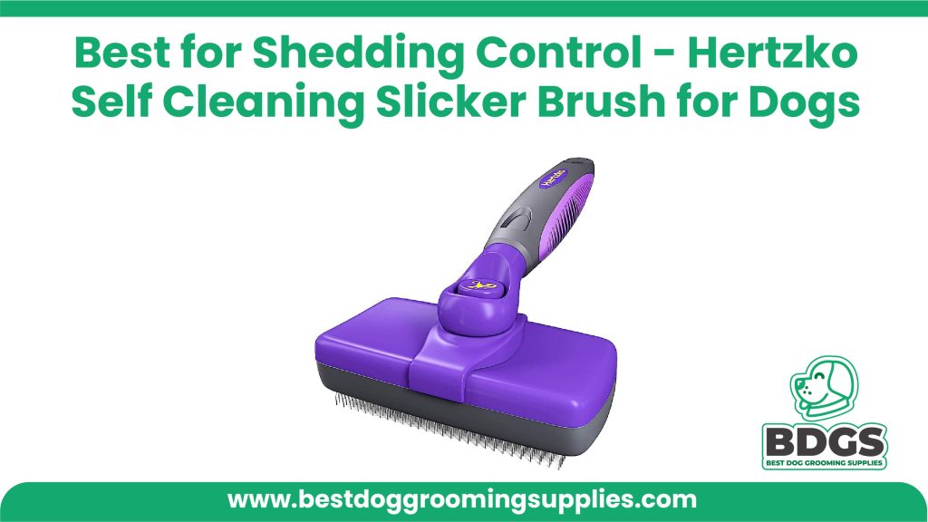 Best for Shedding Control: Hertzko Self Cleaning Slicker Brush for Dogs