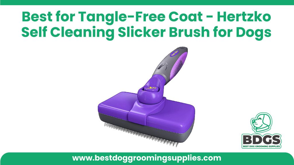 Best for Tangle-Free Coat: Hertzko Self Cleaning Slicker Brush for Dogs