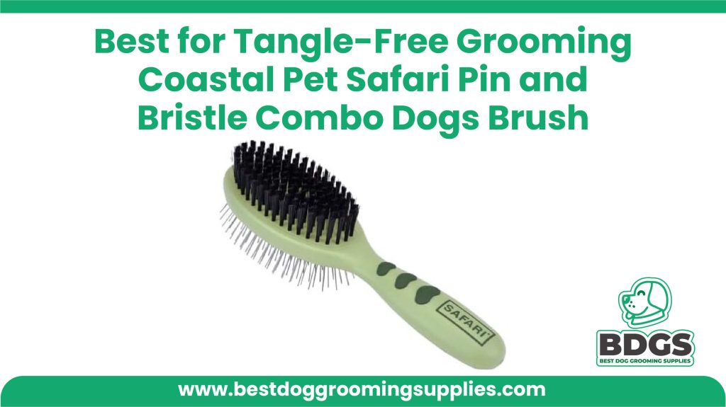 Best for Tangle-Free Grooming: Coastal Pet Safari Pin and Bristle Combo Dogs Brush