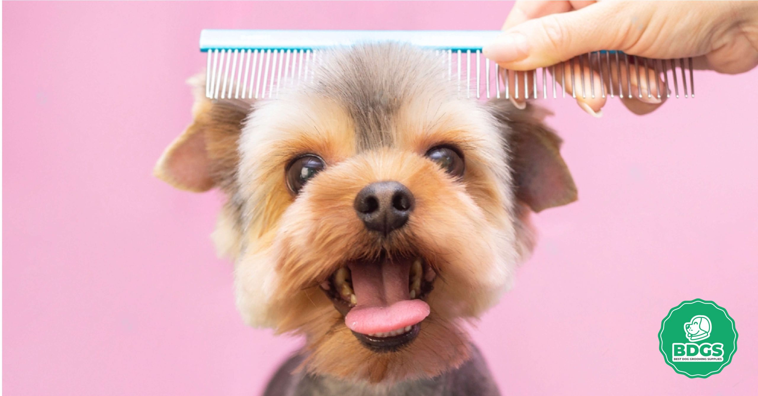 You are currently viewing Perfecting Pet Grooming: The Ultimate Dog Grooming Comb Guide