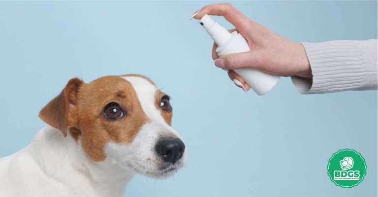 Best Dog Cologne: Elevate Your Pet's Freshness and Style