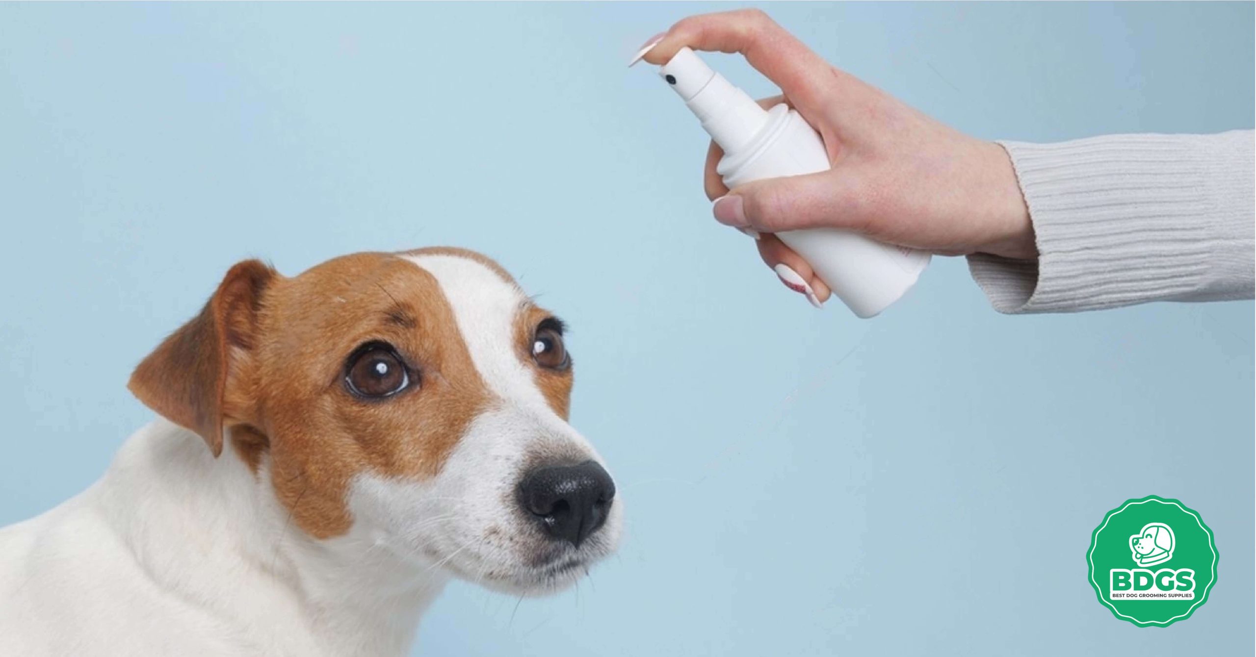 You are currently viewing Best Dog Cologne: Top Picks for Refreshing Pet Scents