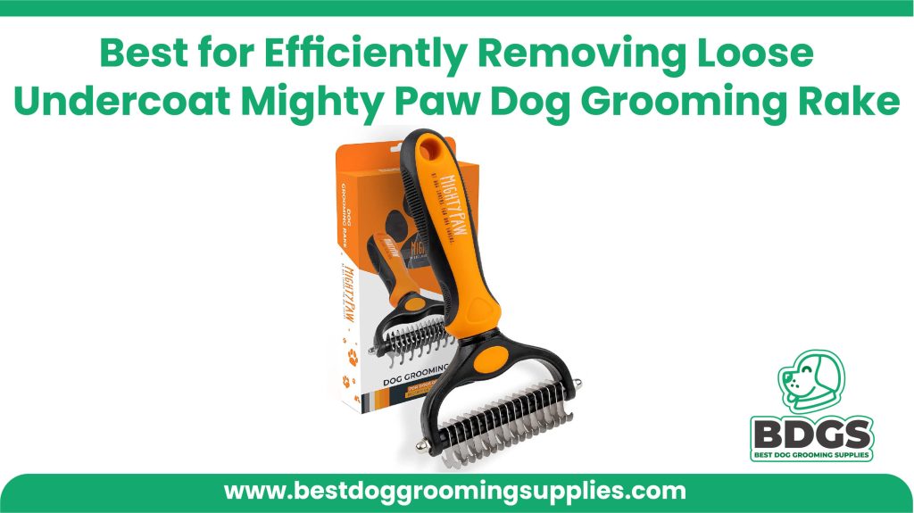 Best for Efficiently Removing Loose Undercoat - Mighty Paw Dog Grooming Rake