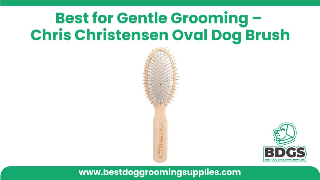 Best for Gentle Grooming - Chris Christensen Oval Dog Brush