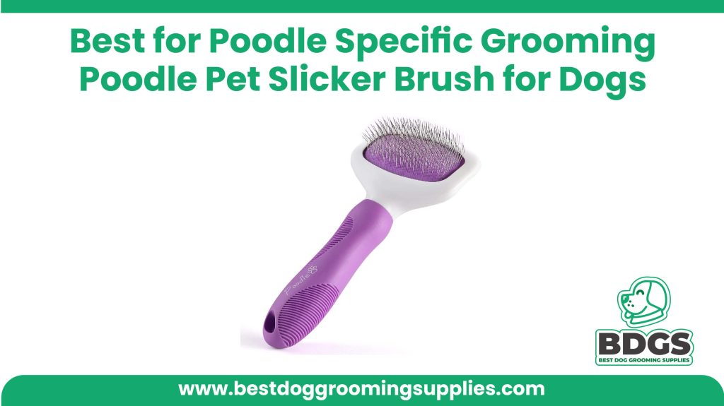 Best for Poodle-Specific Grooming - Poodle Pet Slicker Brush for Dogs