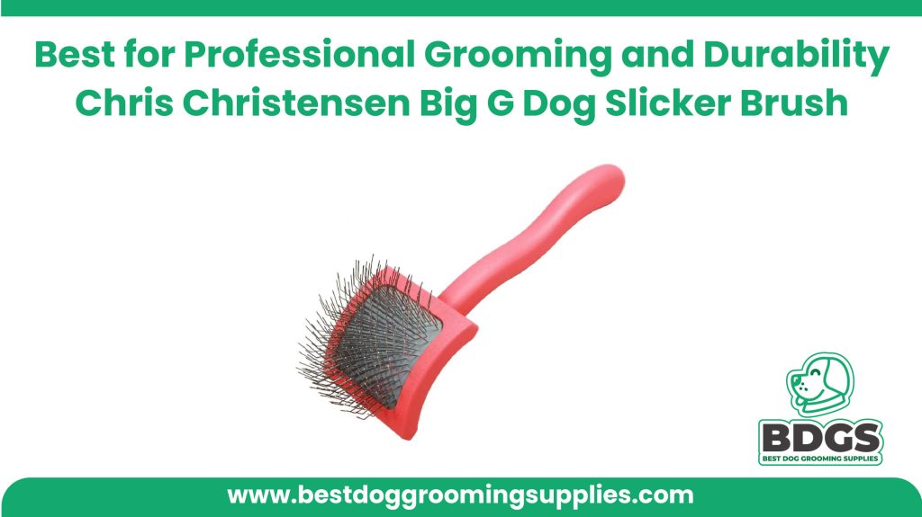 Best for Professional Grooming and Durability - Chris Christensen Big G Dog Slicker Brush