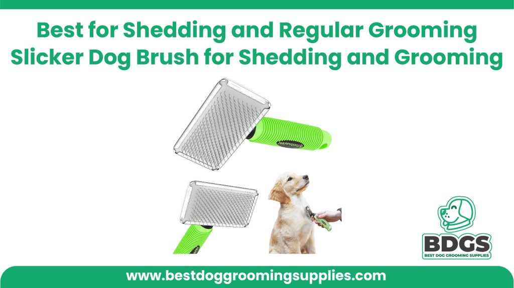 Best for Shedding and Regular Grooming - Slicker Dog Brush for Shedding and Grooming