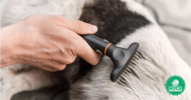 Best Slicker Brush for Doodles: Optimal Coat Care