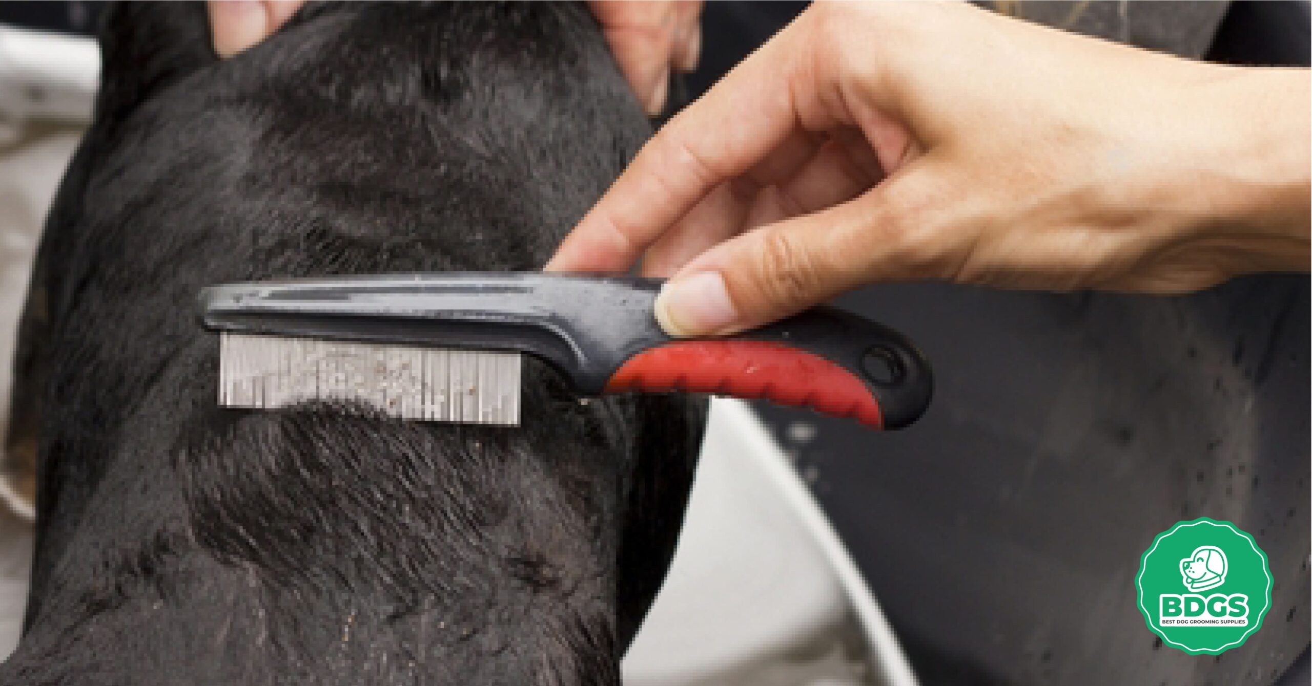 You are currently viewing Flea Combs for Dogs: Effective Pest Control Insights