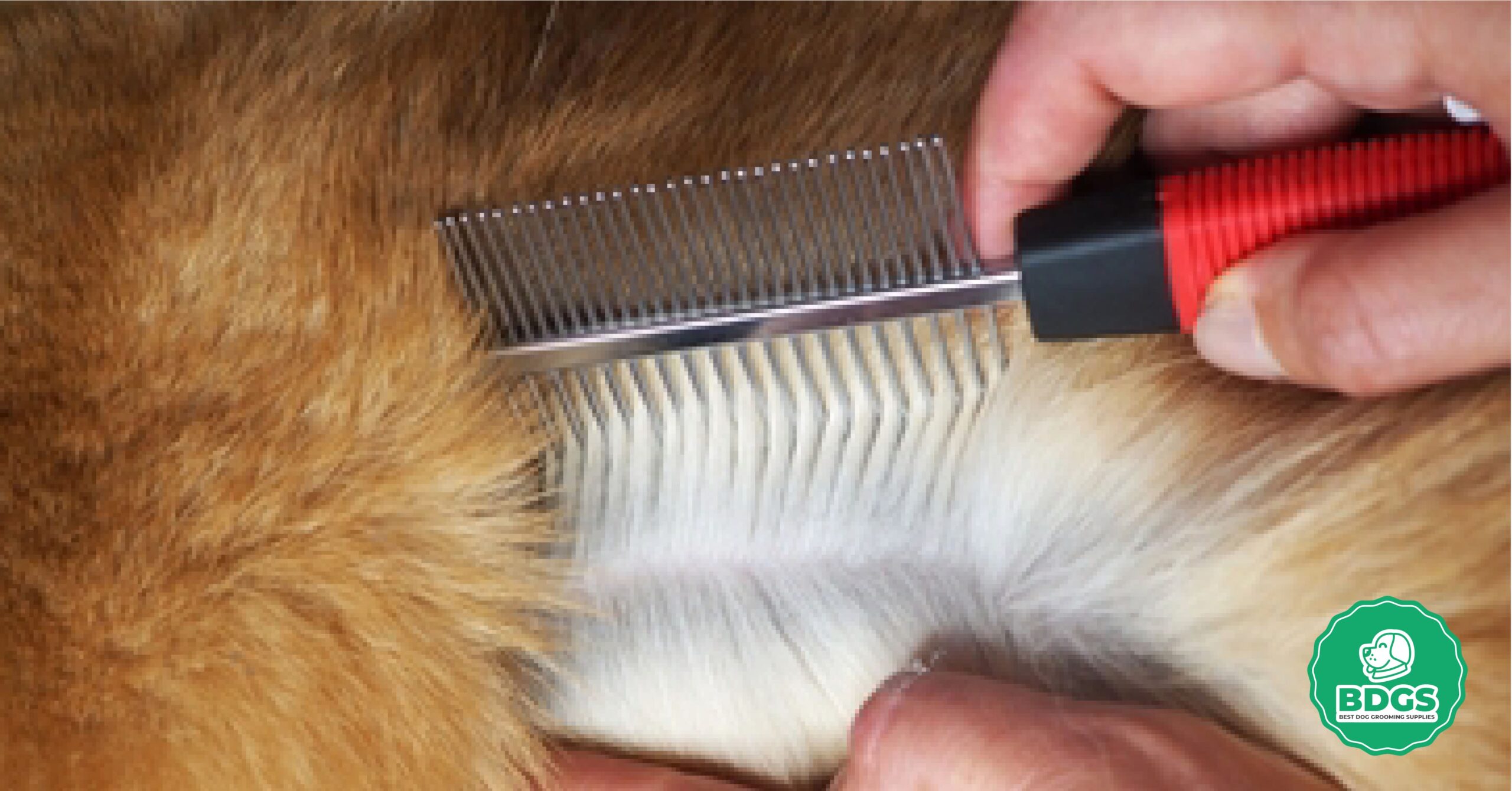 Read more about the article Metal Comb for Dogs: Canine Hair care Excellence