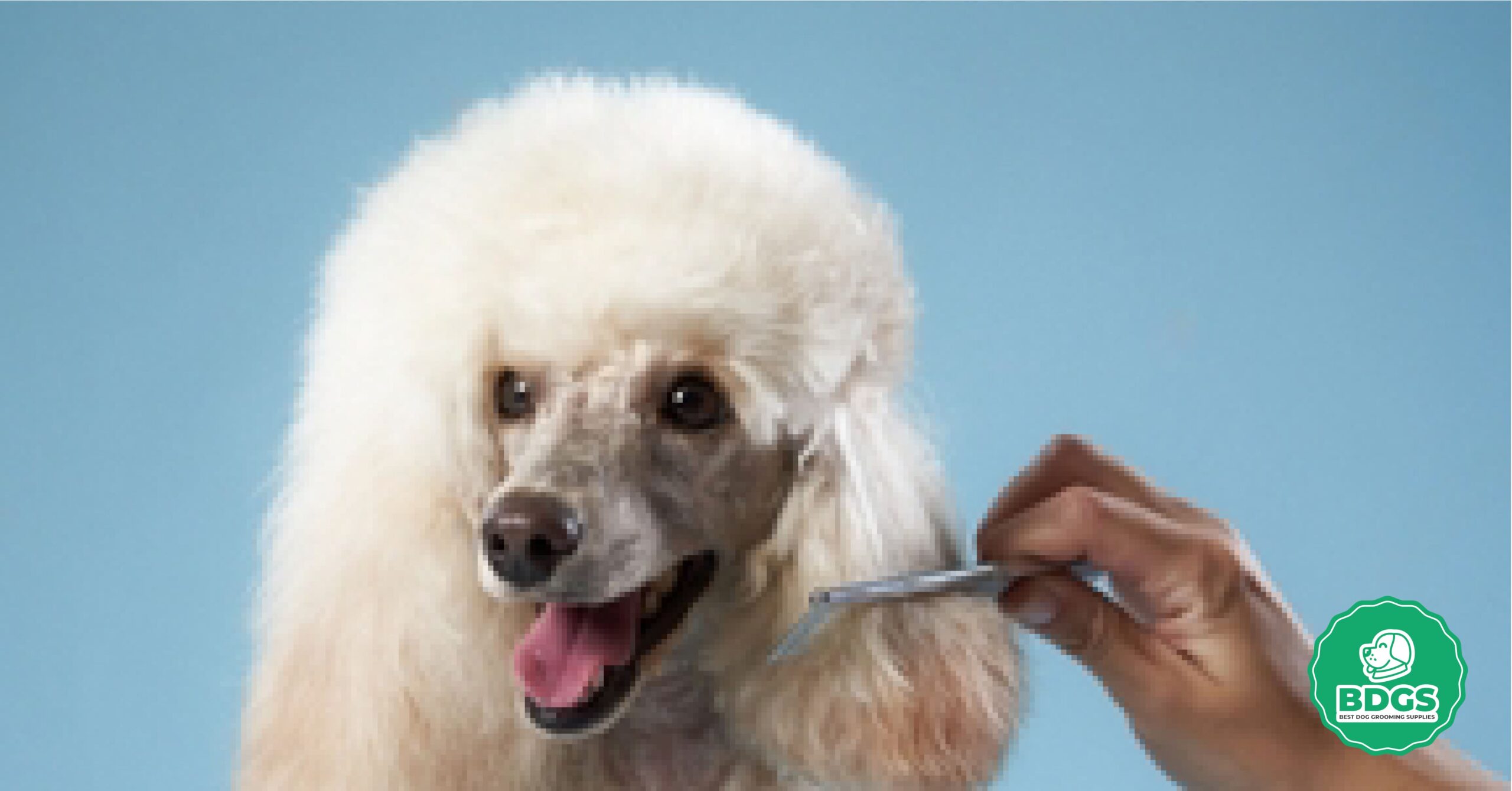 Read more about the article Razor Comb for Dogs: Coat Styling and Trimming