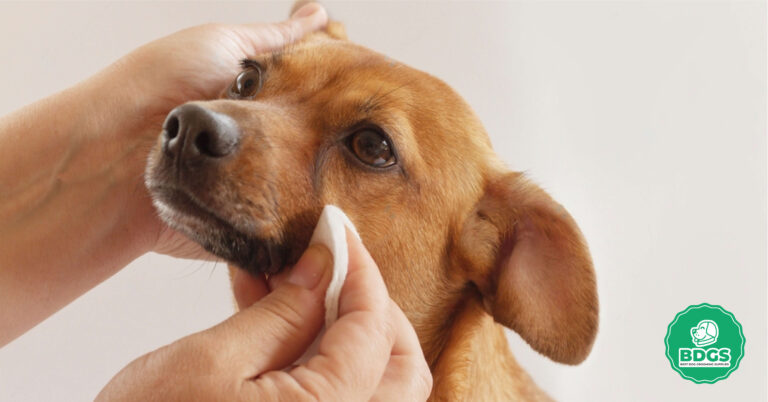 Eye Wipes for Dogs - Gentle Cleansing for Eye Comfort